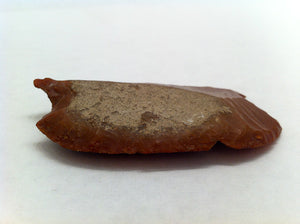 Neolithic Sickle Stone, France