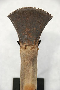 a sioux indian gun barrel hide scraper and a dance wandäóÂ for sale