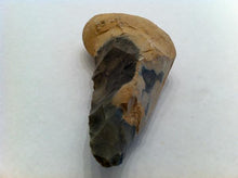 French hand axe, with cortex handle, and black stone